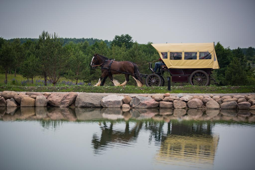 Bed and Breakfast Dubingiu Zirgynas Дубінгяй Екстер'єр фото